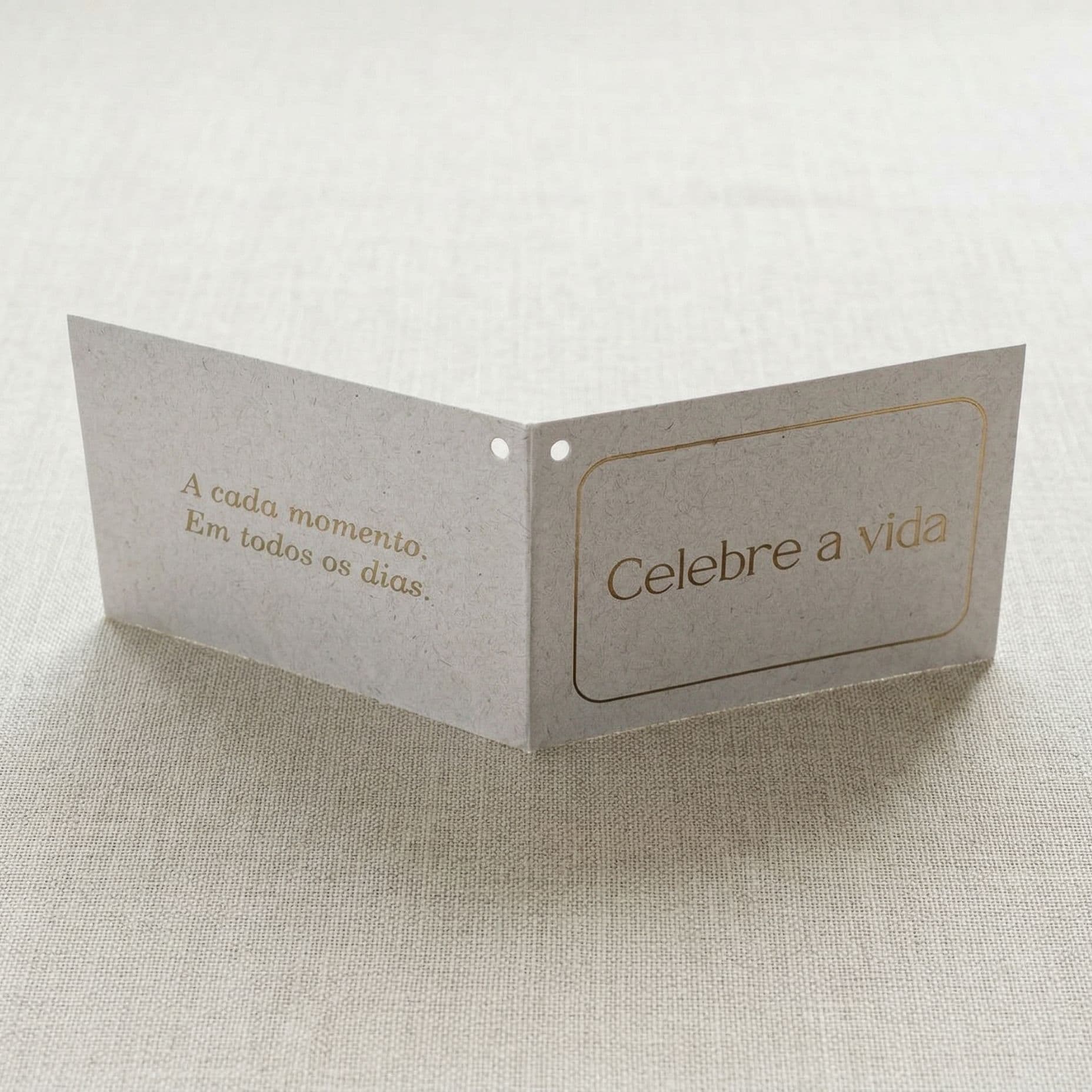 Caixa Visor — foto 2